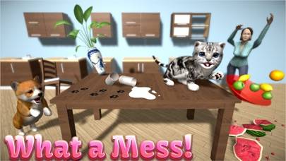 Cat Simulator 2022 App screenshot #2