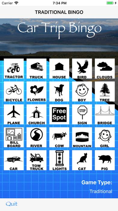 Car Trip Bingo screenshot