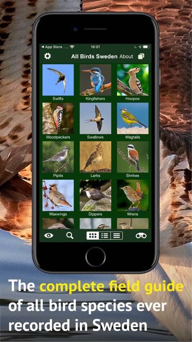All Birds Sweden App screenshot #2