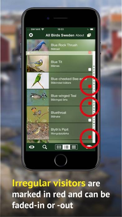All Birds Sweden App skärmdump #6