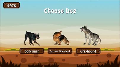 Doggy Dog World App screenshot #2