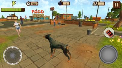 Doggy Dog World App screenshot #4