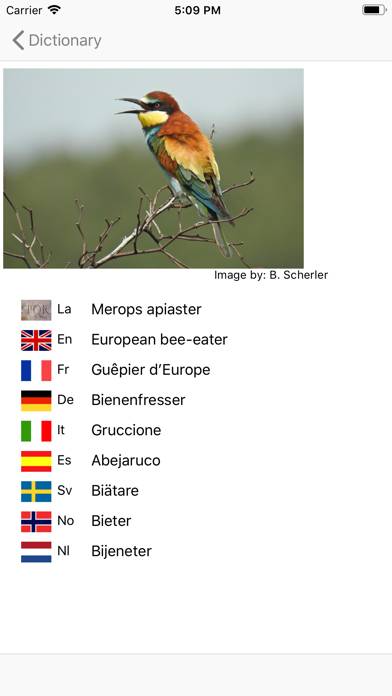 European Birds Names App screenshot