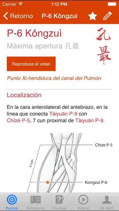 Un Manual de Acupuntura (A Manual of Acupuncture) App screenshot #2