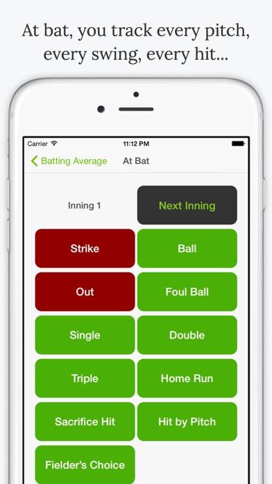 Batting Average App screenshot #3