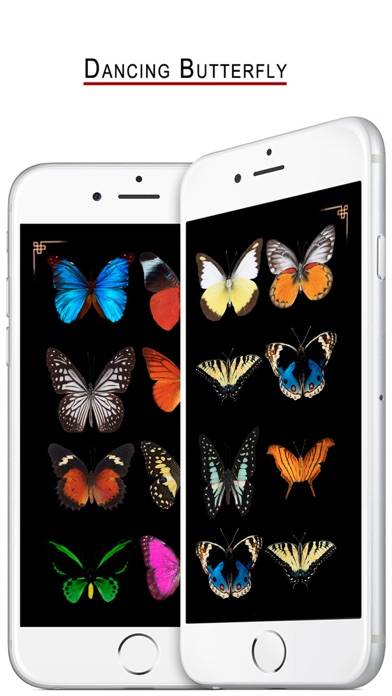 Dancing Butterfly Schermata dell'app #1