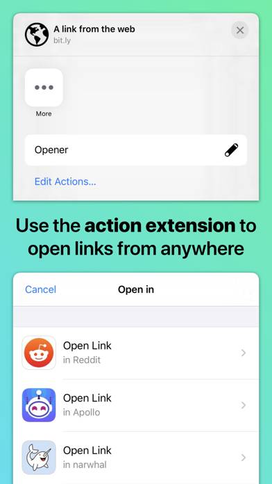 Opener ‒ open links in apps Скриншот приложения #2