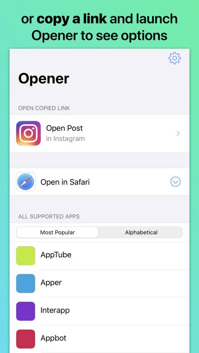 Opener ‒ open links in apps Schermata dell'app #3