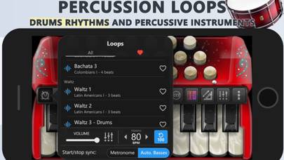 Accordion Piano Cassoto Schermata dell'app
