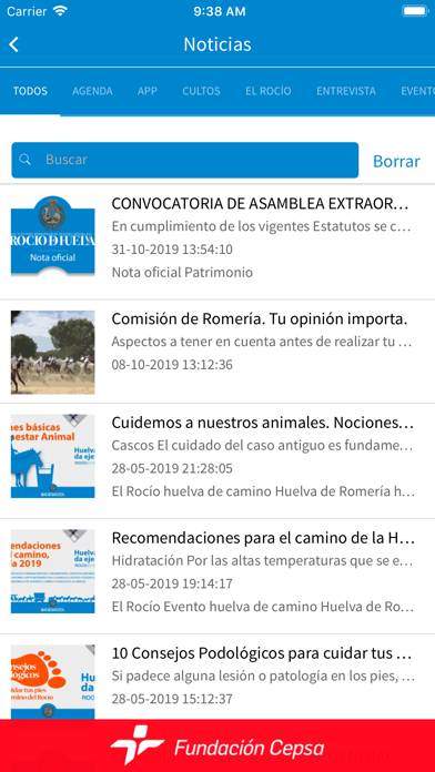 Rocío de Huelva App screenshot