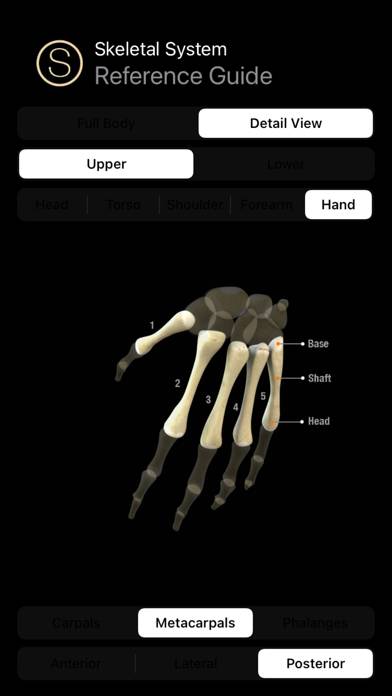 Human Skeleton Reference Guide App screenshot #4
