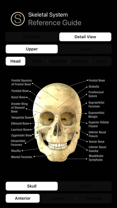 Human Skeleton Reference Guide App screenshot #5