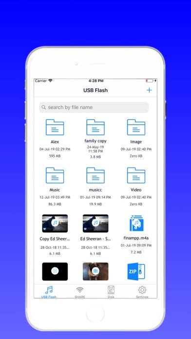 USB Flash Drive Pro App preview #1