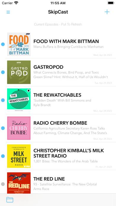 SkipCast: Podcast Player App screenshot