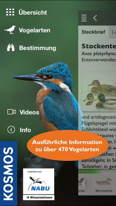 Birds of Europe Guide App screenshot #1