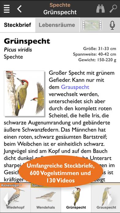Birds of Europe Guide App screenshot #5