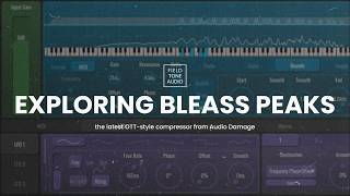 BLEASS Peaks screenshot