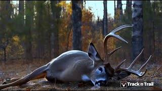 Track N Trail - Hunting & Maps screenshot