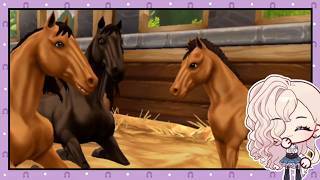 Pocket Horse: Racing Champions Bildschirmfoto