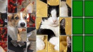 Jigmagic Solitaire: Rompicapo immagine dello schermo