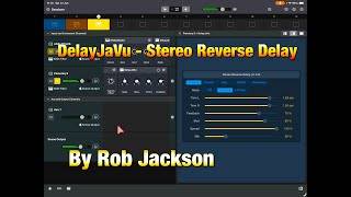 DelayJaVu screenshot