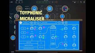 Toyphonic Micraliser skärmdump