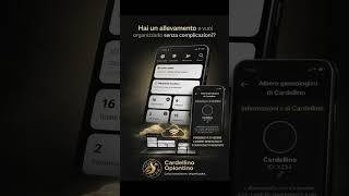 Cardellino Oplontino immagine dello schermo