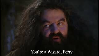 FerryWizard screenshot