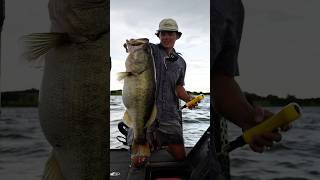 Fishing AI App skärmdump