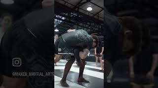 Maxed Martial Arts screenshot
