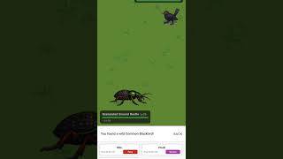 Animalis capture d'écran