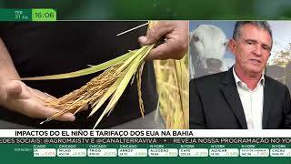 El Niño screenshot
