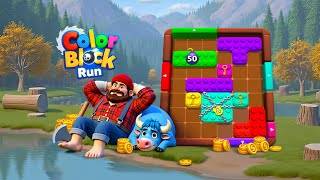 Color Block Run - Puzzle Game screenshot