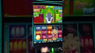 Hello Jackpot - Casino Slots screenshot