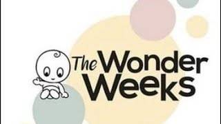 the wonder weeks app review