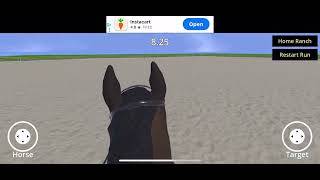 Rider Rodeo screenshot