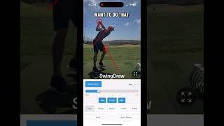 SwingDraw screenshot