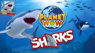 PLANET WOW Sharks skärmdump