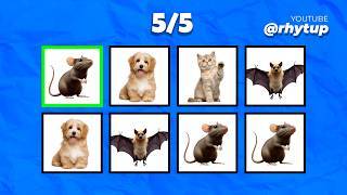 Word On Beat Challenge captura de pantalla