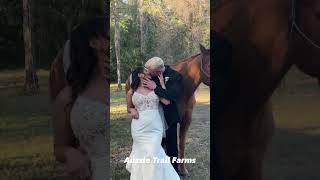 Aussie Farms capture d'écran