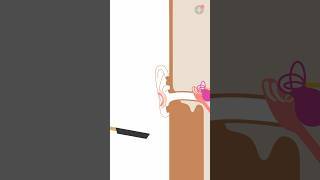 Ear Games immagine dello schermo