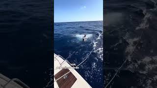 Sail Routing immagine dello schermo