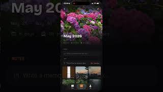 Wanderoll - Travel Film Rolls screenshot