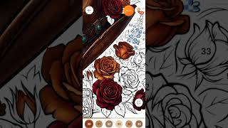 Wild West Color By Number Book skärmdump