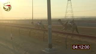 الخلاوي screenshot