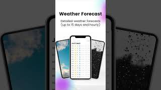 SpotItFly captura de pantalla