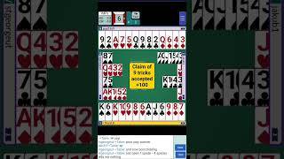 Bridge - Play & Learn skärmdump
